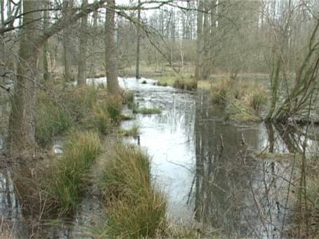 Neuss-Holzheim : Museum Insel Hombroich, Auenlandschaft im Frühjahr